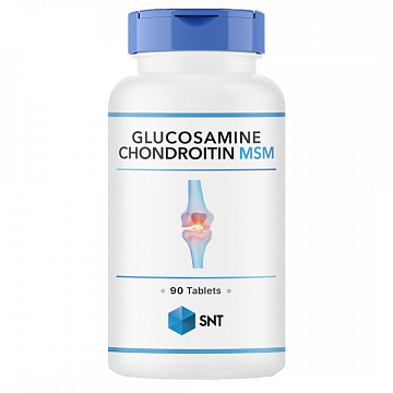 Glucosamine Chondroitin MSM
