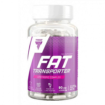 Fat Transporter