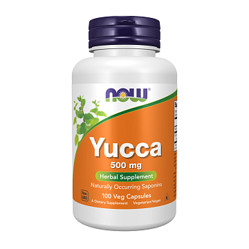 Yucca