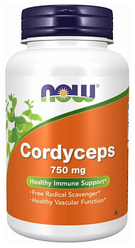 Cordyceps