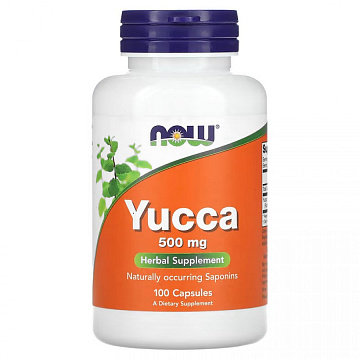 Yucca
