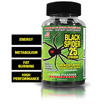 Black Spider
