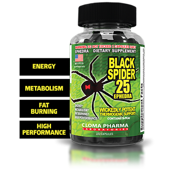 Black Spider